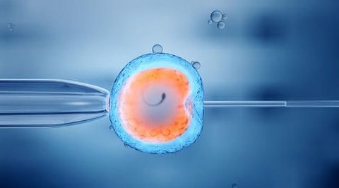 39岁试管婴儿移植后胎停？试管婴儿移植后胎停育的原因？