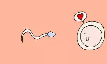 在南通大学附属医院做试管婴儿要多少钱？成功率怎么样？附试管怀孕机构名单一览