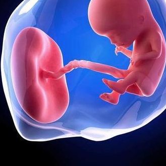 是做试管婴儿是不是十天（试管婴儿要多少天才能知道是正常怀孕）