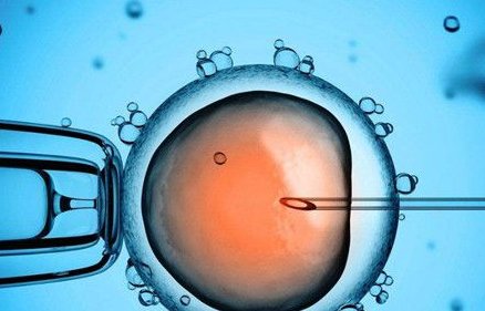 试管婴儿移植一个10细胞1级鲜胚的成功率大吗？