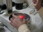 成都三代试管婴儿医院有哪些？只有两家医院开展三代技术！