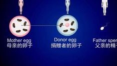 2026年在重庆哪些医院可以做第三代试管婴儿？