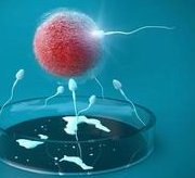 深圳地区有哪些私立的机构可以做试管技术？深圳哪几家医院可以申请试管？