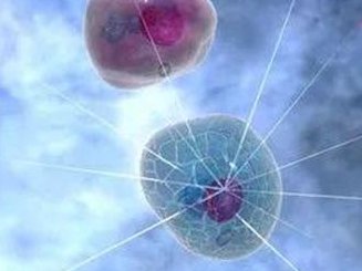 2026在吴川市做基因检测多少钱？基因筛查可以规避哪些遗传病？