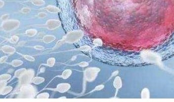 洛阳地区有哪些私立的机构可以做试管技术？女人坐月子期间补气血喝四物汤好还是八珍汤效果好？